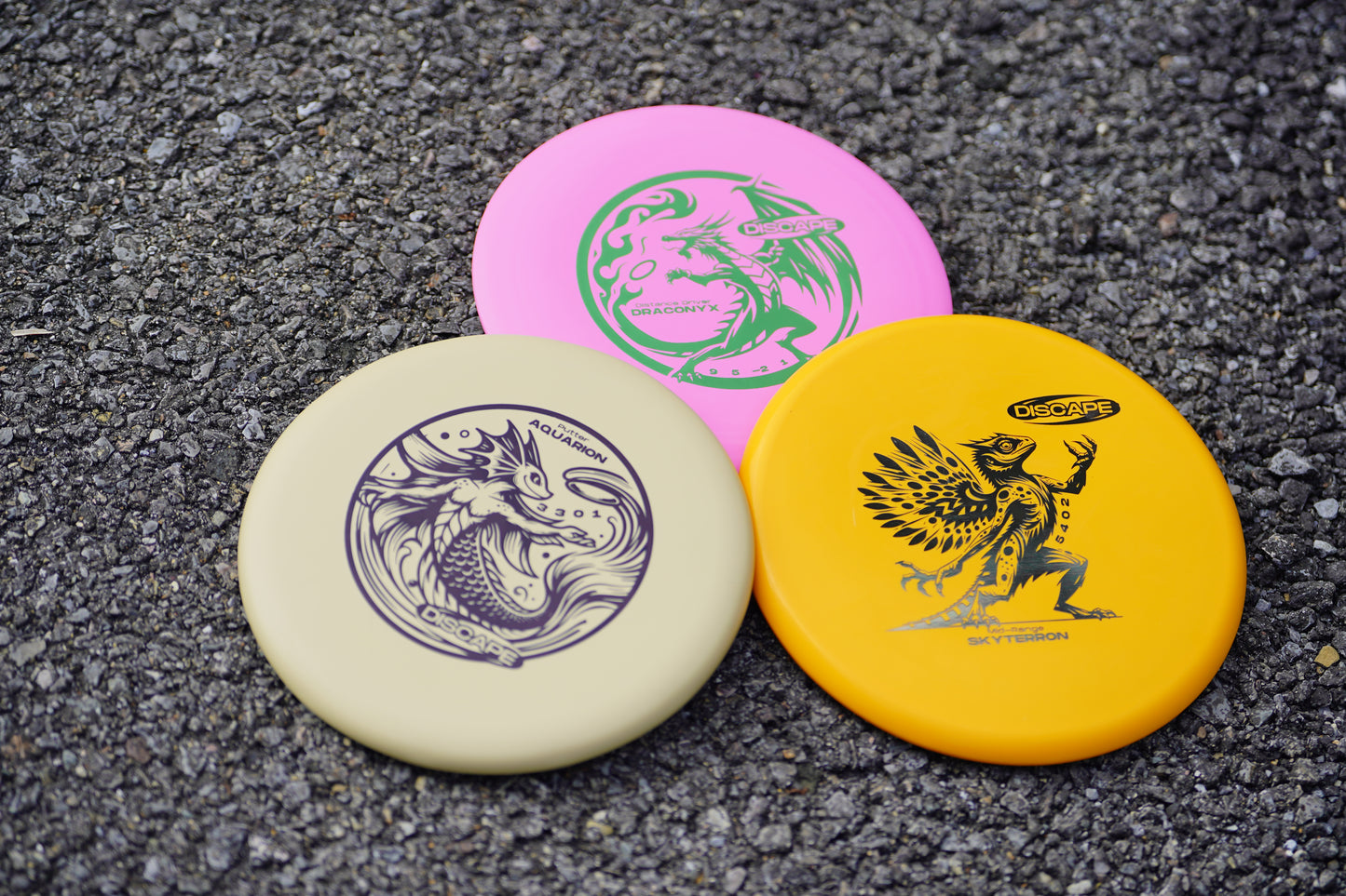 DISC GOLF Set